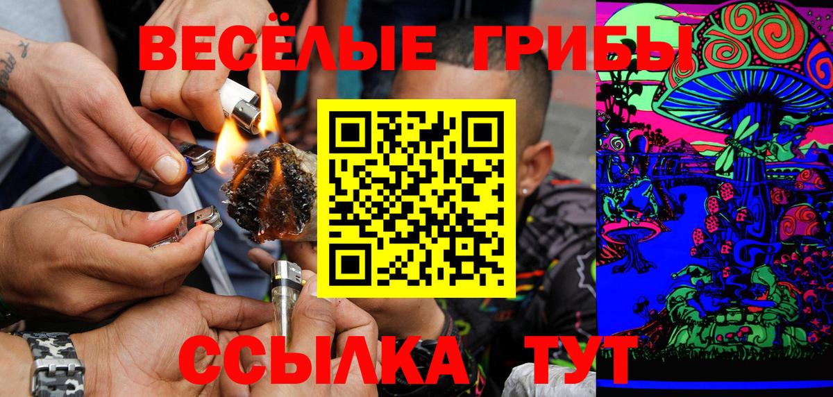 Галлюциногенные грибы мицелий  Вход с VPN  Калач-на-Дону  Галлюциногенные грибы Psilocybe 