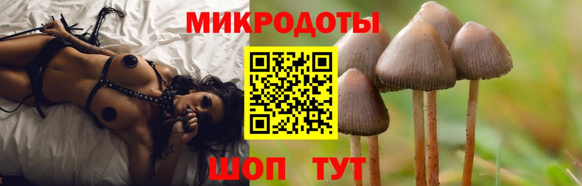 Псилоцибиновые грибы Psilocybine cubensis Калач-на-Дону